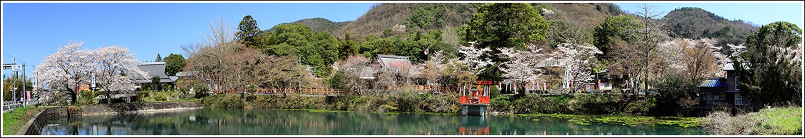 出雲大神宮を観る