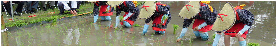 祭事について